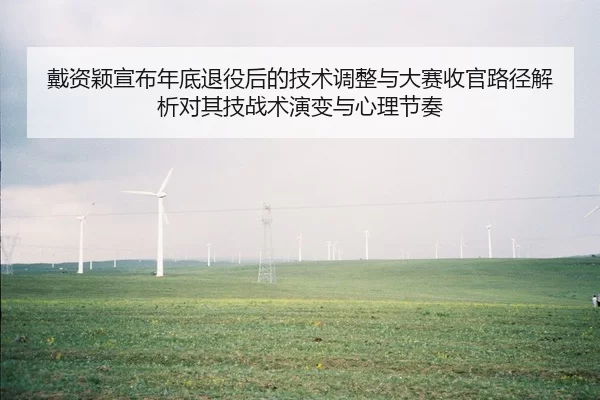 戴资颖宣布年底退役后的技术调整与大赛收官路径解析对其技战术演变与心理节奏
